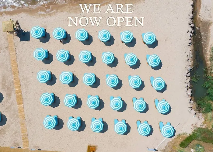 Vip Club Dolphin Coast